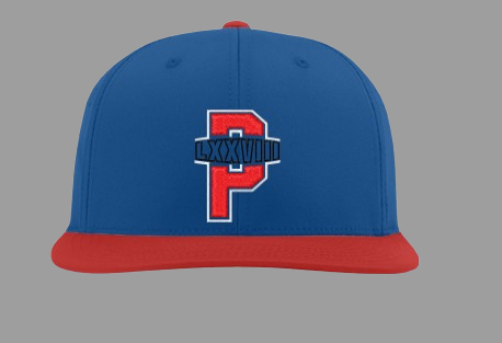 Blue And Red Platinum Athletic Signature Hat