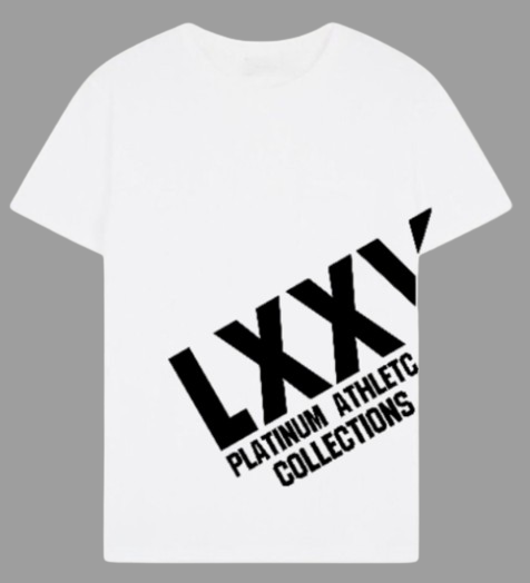 White Platinum T-Shirt With Half Logo